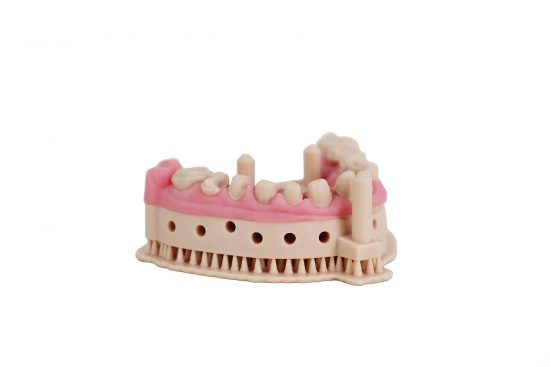 Use case Dental Model Beige model with Gingiva Mask Resin for SLA DLP LCD MSLA 3D Printing