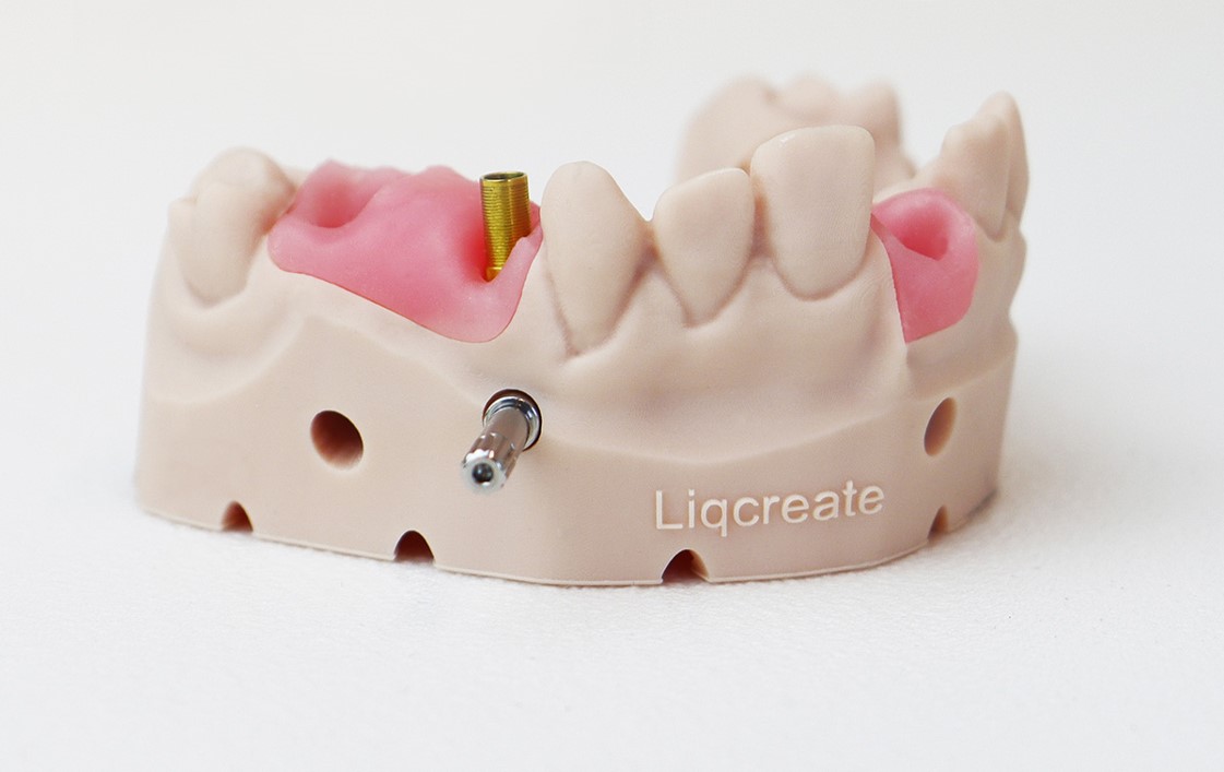 Liqcreate Gingiva Mask Dental Resin for dental implant models manufacturing SLA DLP MSLA LCD