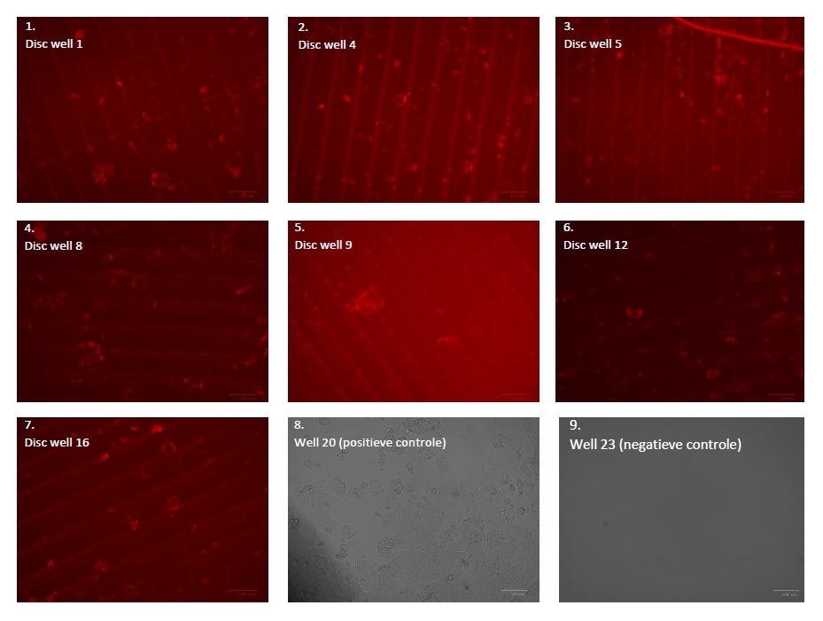 cell testing liqcreate bio-med clear biocompatible resin