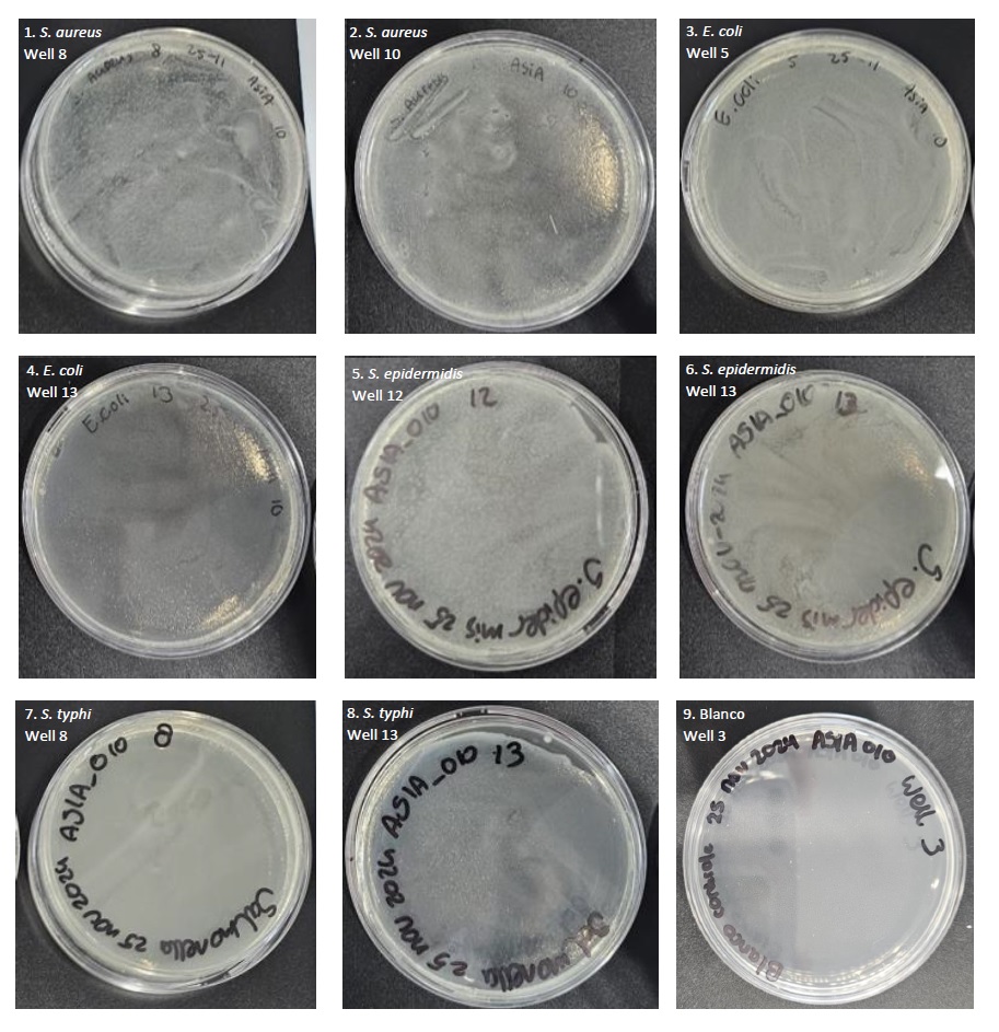 cell testing liqcreate bio-med clear biocompatible resin PCA bacteria